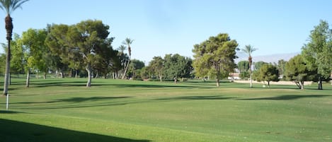 1st fairway of Bermuda Dunes golf course