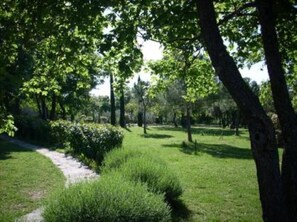 Garden, Park