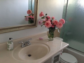 Family bathroom