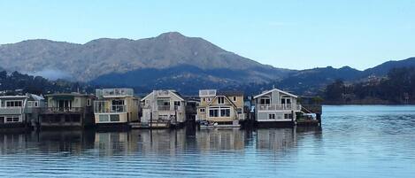 Amazing Sausalito life style.