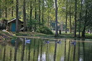 Garden, Park