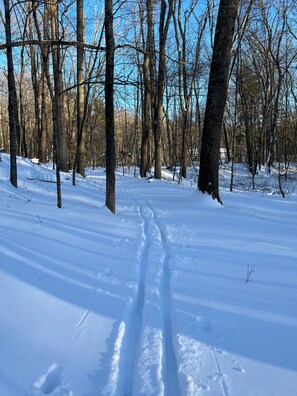 X-Country skiing is great