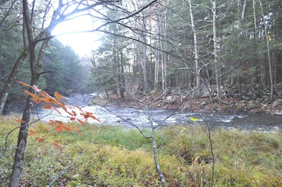 Wilderness Waterfront Cabin on the river --- Supremely private and off the grid