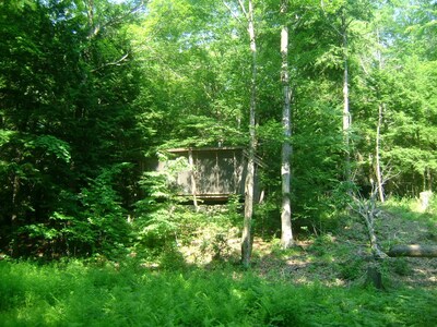Wilderness Waterfront Cabin on the river --- Supremely private and off the grid