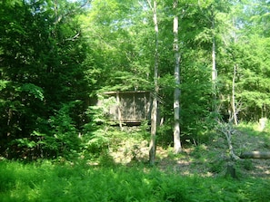 Cabin as viewed from the stream