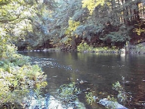 Potic Creek by the cabin