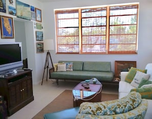 Sun room with mid century daybed/sofa.
