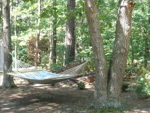 Relax on the hammock