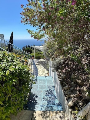 Steps down to terrace