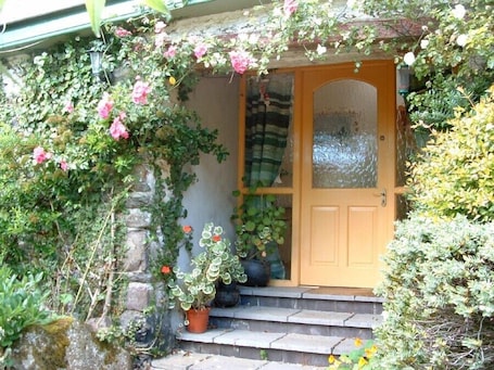 Roses around the door of the front door that opens into the courtyard garden