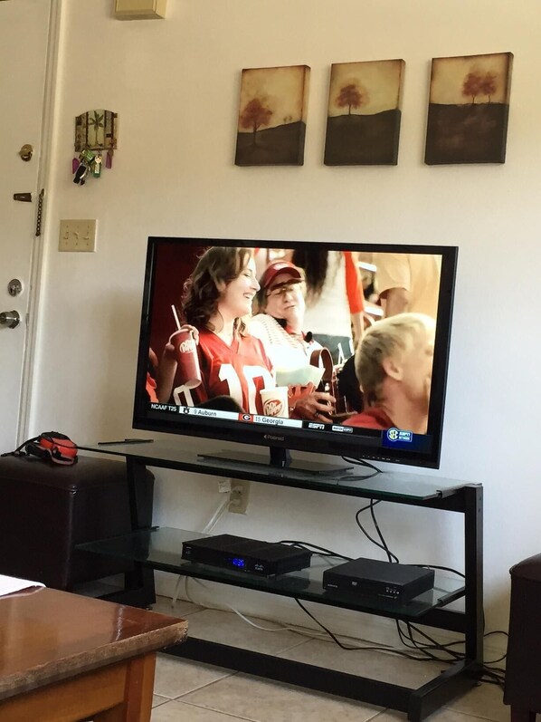 Flat Screen TV in Living Roolm