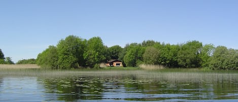 Järvi