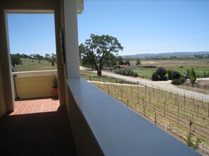 The vineyard view from your patio