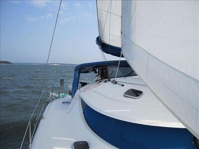 *SAIL* YOUR OWN PRIVATE YACHT !  DAYSAILS ON HAMPTONS  #1 CATAMARAN