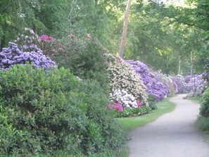 Rhododendronpark-300m von der Wohnung entfernt