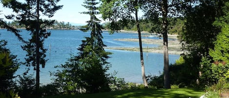 View of our lawn & Winter Cove from Saturna Seaside deck.