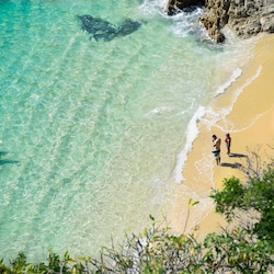 Violin Beach