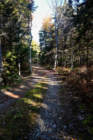 The drive through the Maine forest to "Yassou,"  a Greek word meaning "welcome."