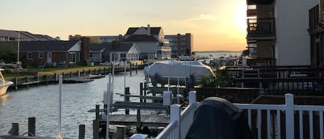 View from the bottom deck. 