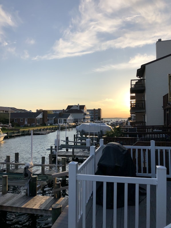 View from the bottom deck. 