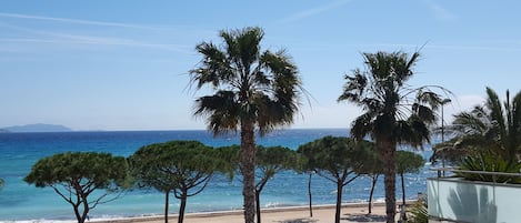 C'est la vue que vous aurez du balcon