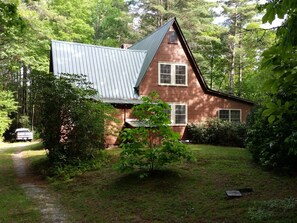 Cabin and back yard