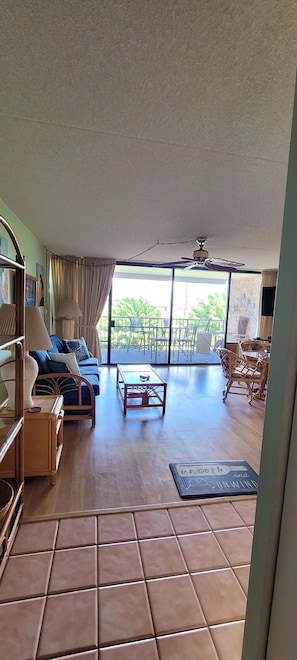 Entry to living room