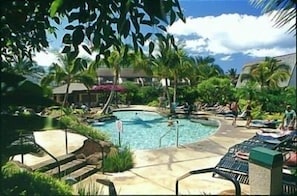 Tropical pool with spa, restrooms and barbeques