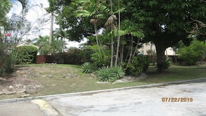 Villa Escape crotons, mango tree and various flowering plants.