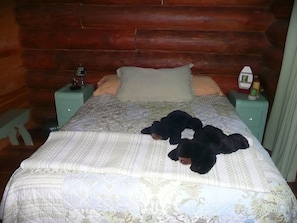 Bedroom 2 w queen