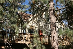 Side view of house