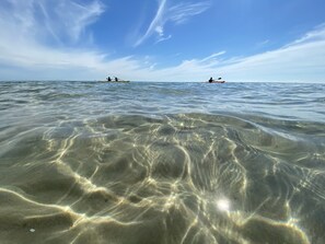 crystal clear waters in Nantucket Sound