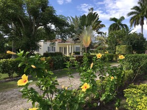 Jardines del alojamiento