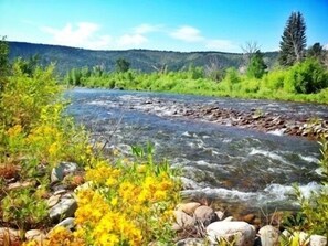section of Roaring Fork River on property