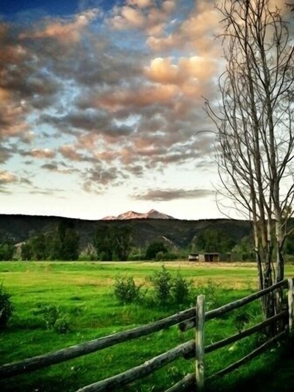 back yard with pasture