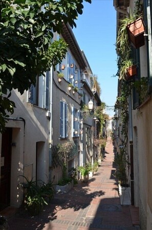 The enchanting street of the house