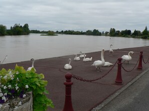 Oklassificerad bild, 3 av 32, knapp