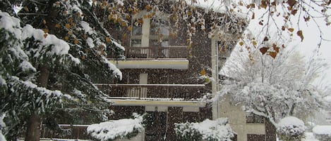 "Les Asphodèles" en hiver 