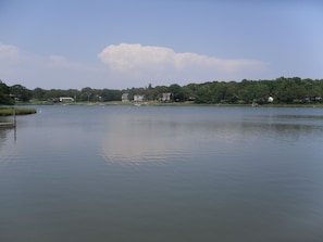 Taken from the dock.