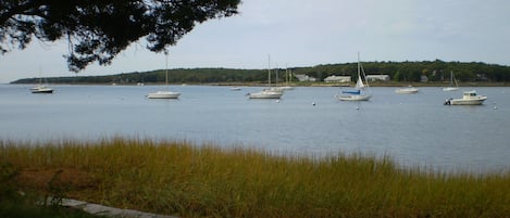 Front yard harbor view