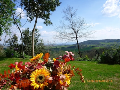 Holiday home between the scent and the charm of the Tuscan countryside  