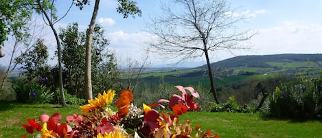 Jardines del alojamiento