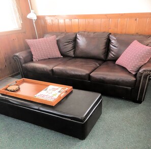 Leather Couch with full pull out bed.