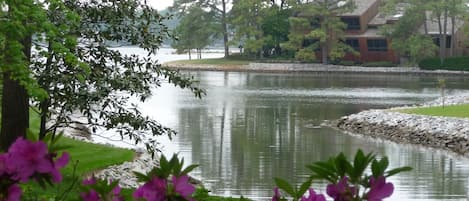 view from front yard