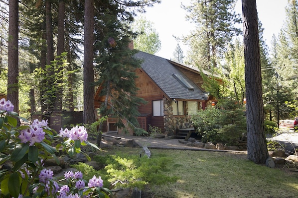 Come and relax in the tranquil settings of The Cabin.

