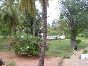 Garden, Park