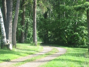 Driveway into the property