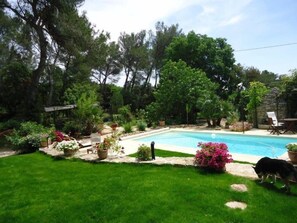 Garden, Park