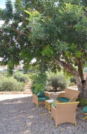 Relax in the soft furnishings in the shadow of one of the beautiful trees