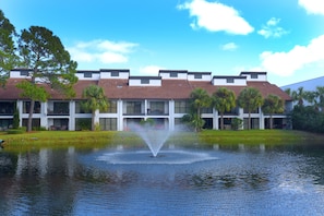 Our Condo over looks this pond that has fish, turtles and frogs!